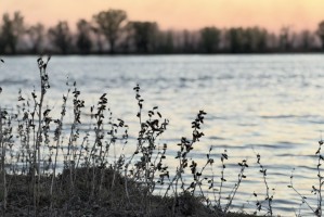 До 3 мая продлили пиковый сброс воды на Волжской ГЭС