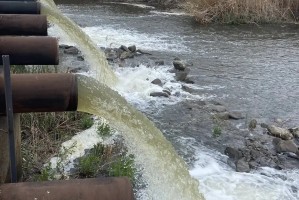 В Астрахани начали спасать водоем, от которого зависит жизнь целого села