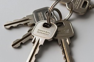 Россияне стали чаще покупать банковские авто и недвижимость