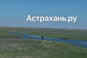 В Астраханской области рыбаки безжалостно истребляют рыбу в полоях