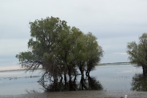 В Астраханской области продлили режим «большой воды»