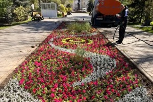 В Астрахани высадили около 30 тысяч цветов перед 9 Мая