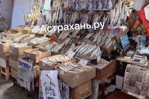 На астраханских рынках без стыда продают свежую местную воблу, запрещенную к вылову