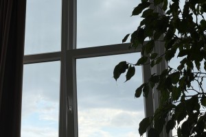 Сегодня в Астраханской области будет облачно и дождливо