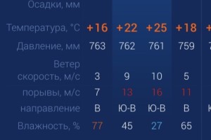 Сегодня в Астраханской области ожидается ветреная погода