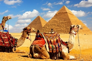Полеты в Египет возобновили?
