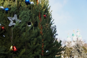 Главная елка Астрахани будет установлена в сквере им. Ульяновых