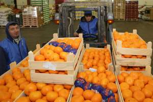 Дефицита овощей и фруктов зимой в Астрахани не будет