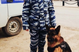 В Астраханской области полицейский пес Форвард сделал дубль
