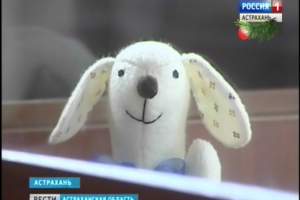 В Астрахани открылась необычная выставка мягких игрушек