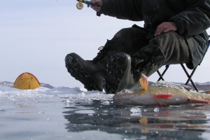 Спасатели предупреждают астраханцев: выход на лед опасен!