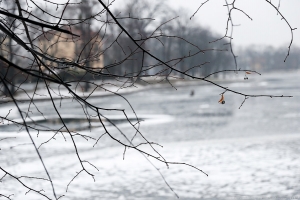 В Астрахани оценили  ледовую обстановку на водоемах