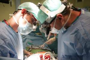 Астраханские кардиологи осваивают новую методику протезирования