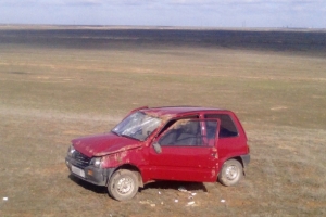В Астраханской области в результате выхода на дорогу животного произошло опрокидывание автомобиля