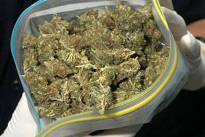 Наркополицейские Астрахани изъяли свыше 1 килограмма марихуаны