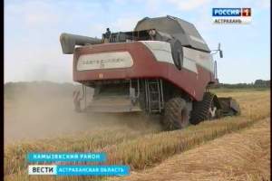 В хозяйствах Астраханского региона стартовала рисовая страда