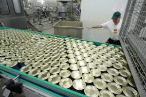 Астраханский рыбоконсервный завод приступил к массовому производству "Каспийских сардин в масле"