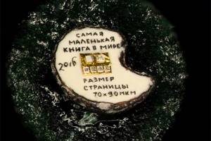 Самую маленькую в мире книгу создали в Новосибирске