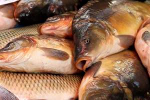 В Ахтубинске и Знаменске организуют распродажу рыбной продукции на ярмарках выходного дня