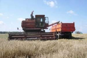В Астраханской области завершается уборка риса