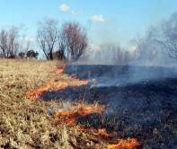 Оказывать помощь в борьбе с пожарами в Астраханской области будут профилактические группы