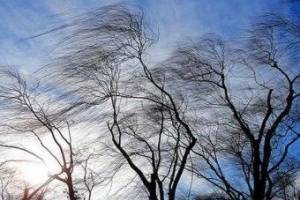 В Астрахани ожидается усиление ветра