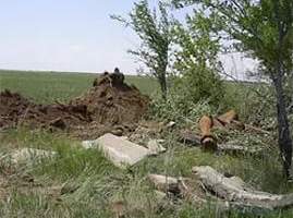 В Астраханской области у недобросовестных владельцев изымают брошенные сельхозземли