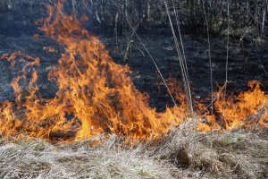18 пожаров за сутки от загорания мусора и камыша