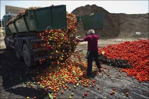 В Астрахани уничтожено более 11 тонн санкционного товара