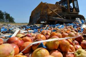 В Астраханской области уничтожили партию санкционных овощей и фруктов