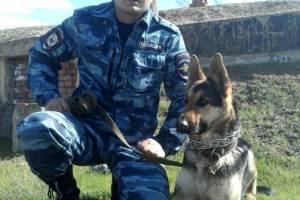 В Астрахани подозреваемого в убийстве помогла найти служебная собака