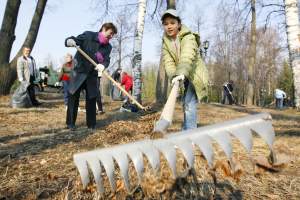 В Астрахани дан старт кампании по уборке и озеленению улиц