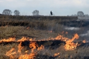 Тростниковые пожары снова отравляют воздух в Астрахани