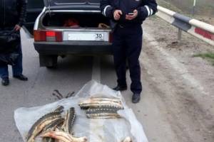 Астраханка везла в автомобиле 15 мертвых осетров
