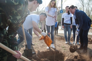 Александр Жилкин посадил деревья на Аллее воинской славы