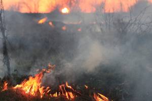 31 пожар за сутки в Астраханской области