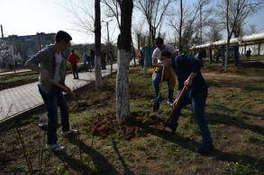 В день чистоты в Астрахани высадили 8 000 деревьев