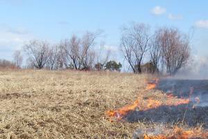 Новые загорания сухой растительности в Астраханской области