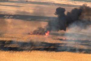 В Астрахани выявили около 20 крупных очагов возгорания