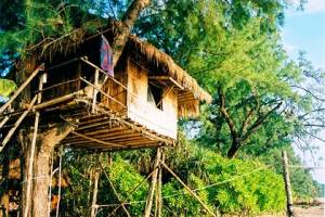 В России для туристов построят дома на деревьях и коттеджи из соломы
