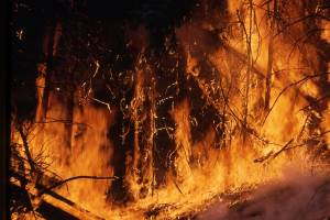 На майские праздники объявлен 4 класс пожароопасности