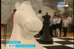 Выставка уникальных предметов, связанных с шахматами, открылась в Астрахани