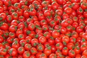 В Астрахань пытались ввезти помидоры сомнительного качества