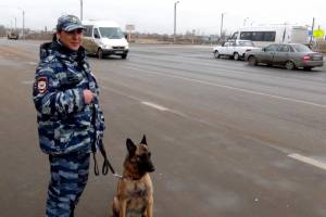 В Астрахани служебная собака помогла обнаружить наркотики