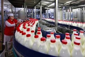Выгодно ли в Астраханской области заниматься молочным бизнесом?