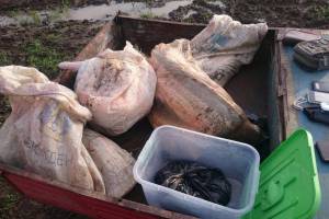 В Астраханской области по подозрению в браконьерстве задержали группу местных жителей