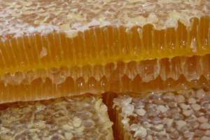 В Астрахань привезли мёд из Башкирии