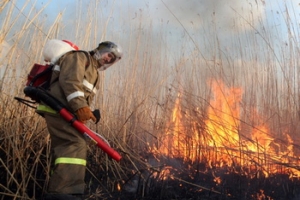 Развитие в регионе добровольно-пожарных дружин
