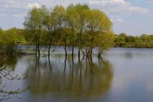 В Астраханской области уровень воды сохранится выше опасной отметки еще несколько дней