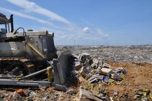 На полигоне бытовых отходов  уничтожили  более 1,5 тонн груш